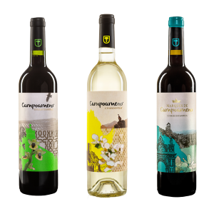 Pack Vino Tinto y Blanco Bodegas Campoameno