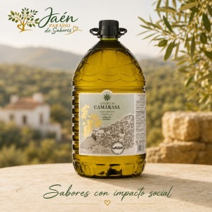 AOVE Señorío de Camarasa...